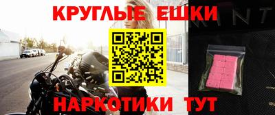 a pvp Славгород