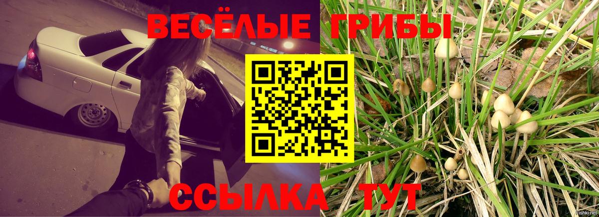 Галлюциногенные грибы GOLDEN TEACHER  где купить наркоту  Новоалтайск  Вход с VPN 